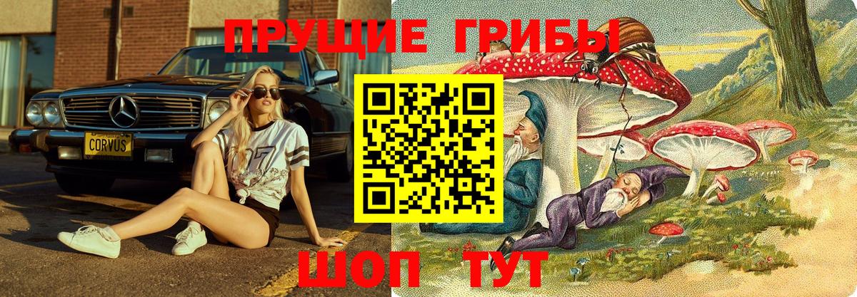 Галлюциногенные грибы мухоморы Улан-Удэ